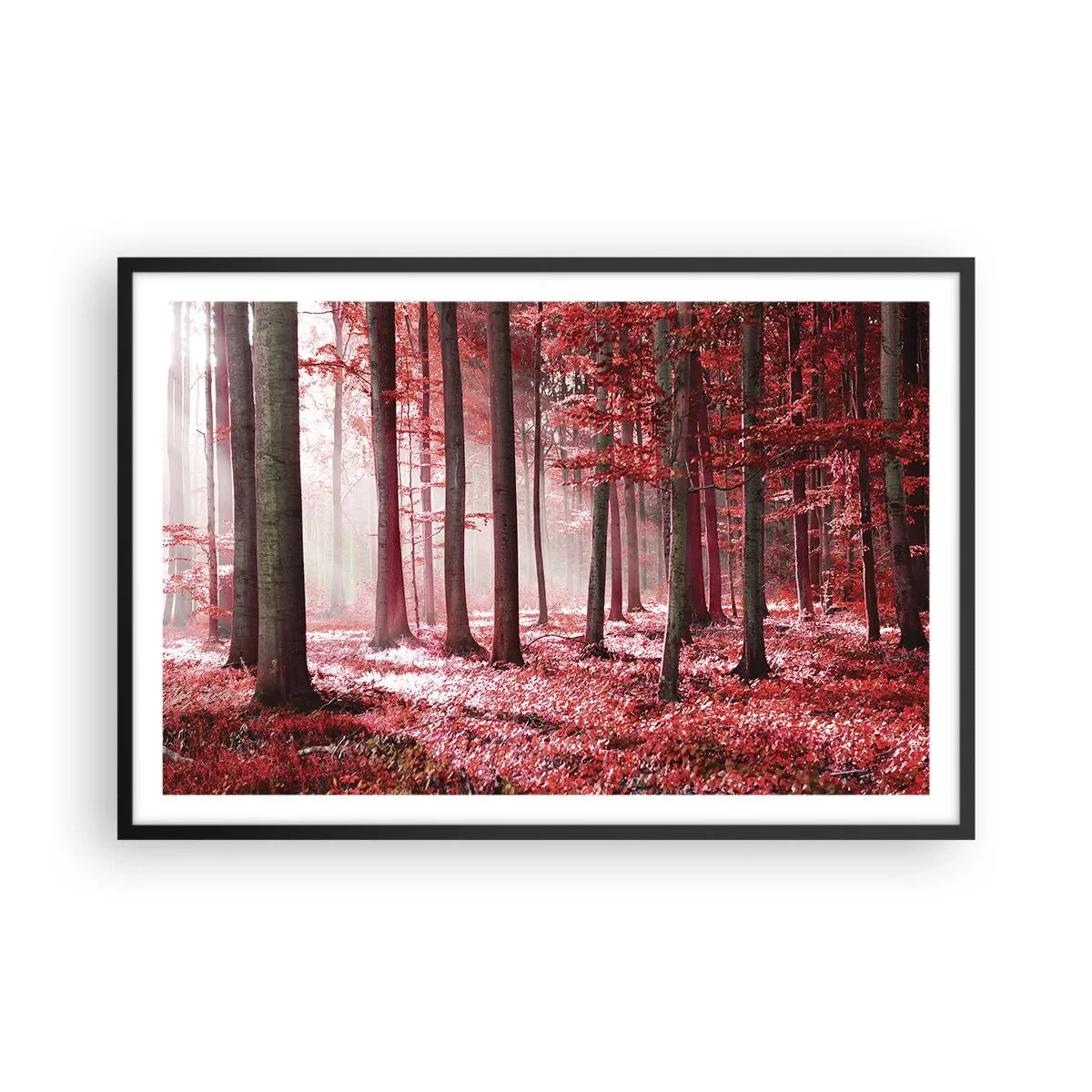 Poster in een zwarte lijst - Rood is net zo mooi - 91x61 cm