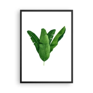 Poster in een zwarte lijst - Aquarelillustratie van symmetrisch gerangschikte bananenbladeren op een witte achtergrond. - 50x70cm - Groene symmetrie - Moderne wanddecoratie voor woonkamer en slaapkamer ARTTOR