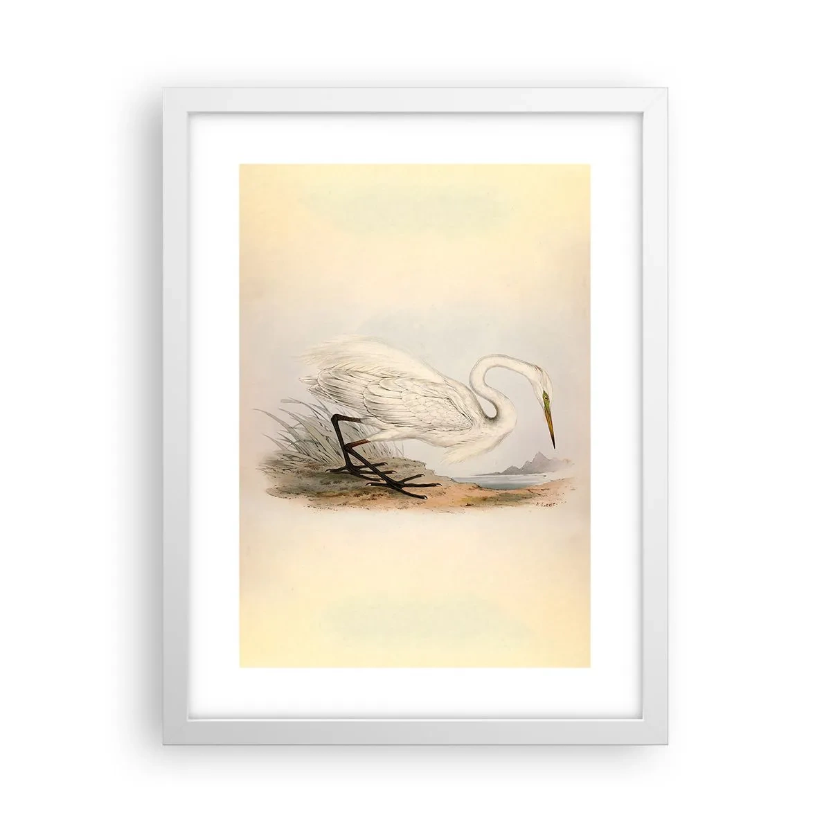 Poster in een witte lijst - Dame op de biezen - 30x40 cm