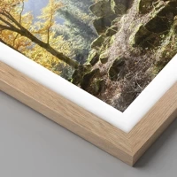 Licht eiken
