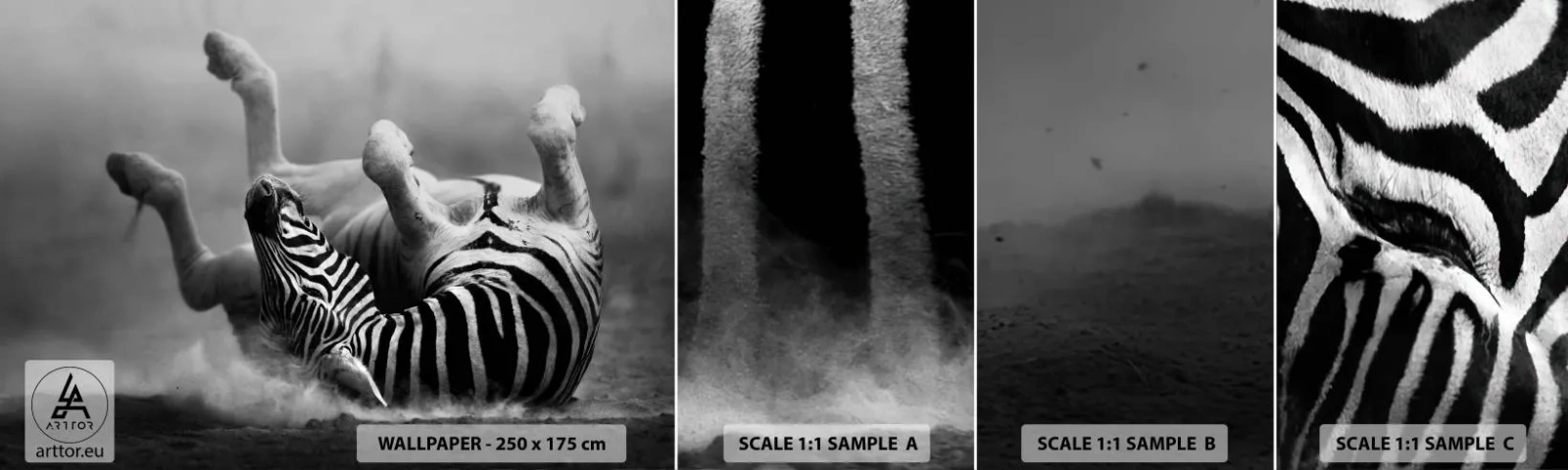 Fotobehang Staaltje Standard Eco - Niet alleen het paard zou lachen - Dieren, Ribben, Natuur - 100x30 cm