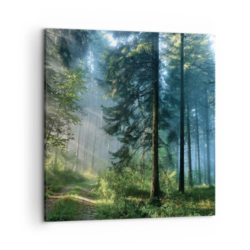 Schilderen op canvas - Stralend in de ochtend - 50x50 cm