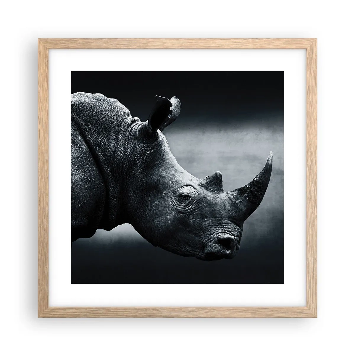 Een poster in een licht eiken lijst - Rechts profiel - 40x40 cm