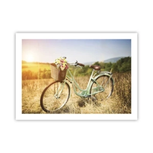 Poster - Ik blijf hier nog even - 70x50 cm