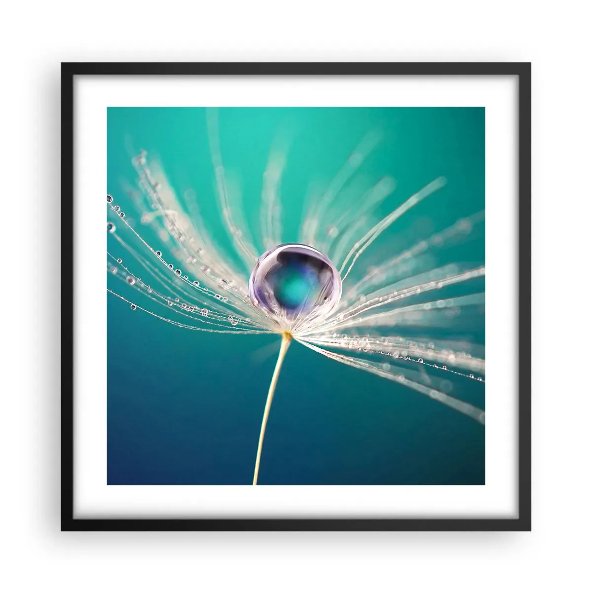 Poster in een zwarte lijst - Mystiek moment - 50x50 cm