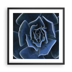 Poster in een zwarte lijst - Woestijn bloem - 50x50 cm