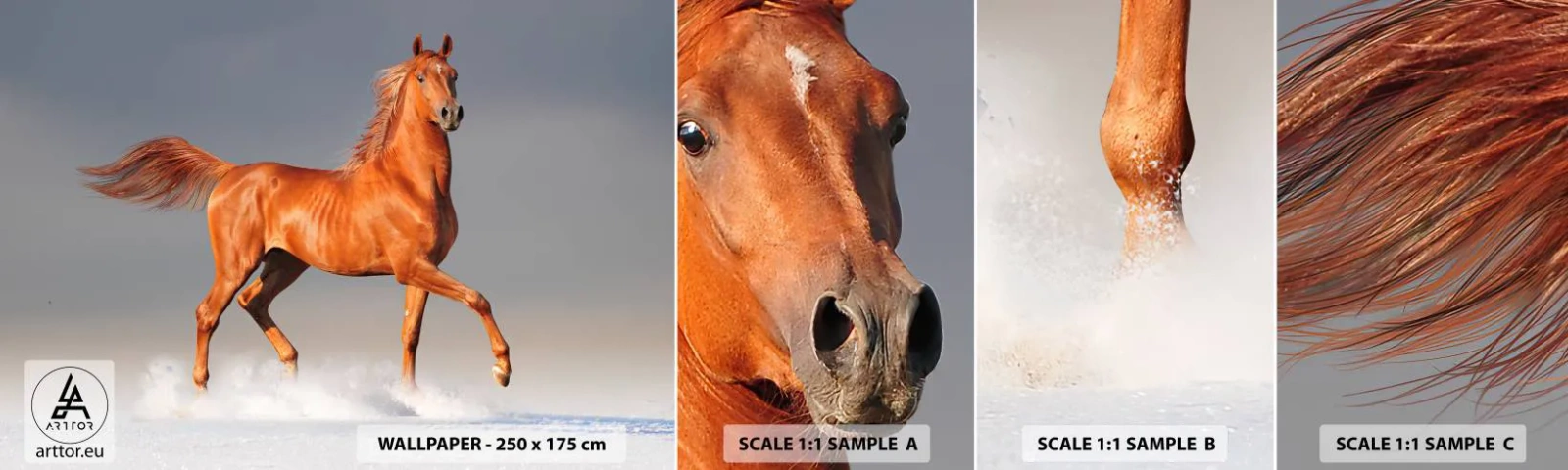 Fotobehang Monster Zelfklevend Deluxe Sticker - Dansende elegantie - Dieren, Paard, Natuur - 100x30 cm