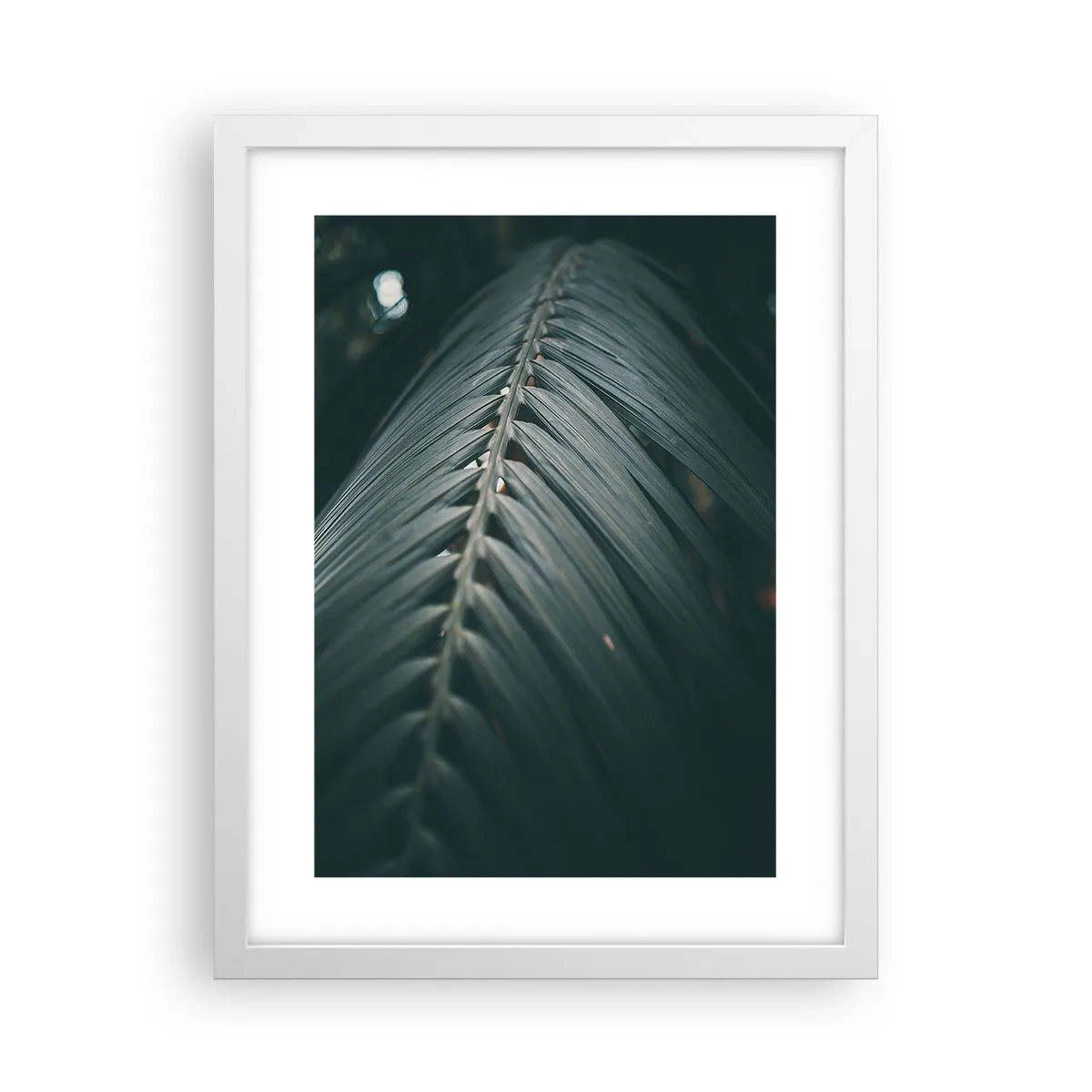 Poster in een witte lijst - De precisie van de natuur - 30x40 cm