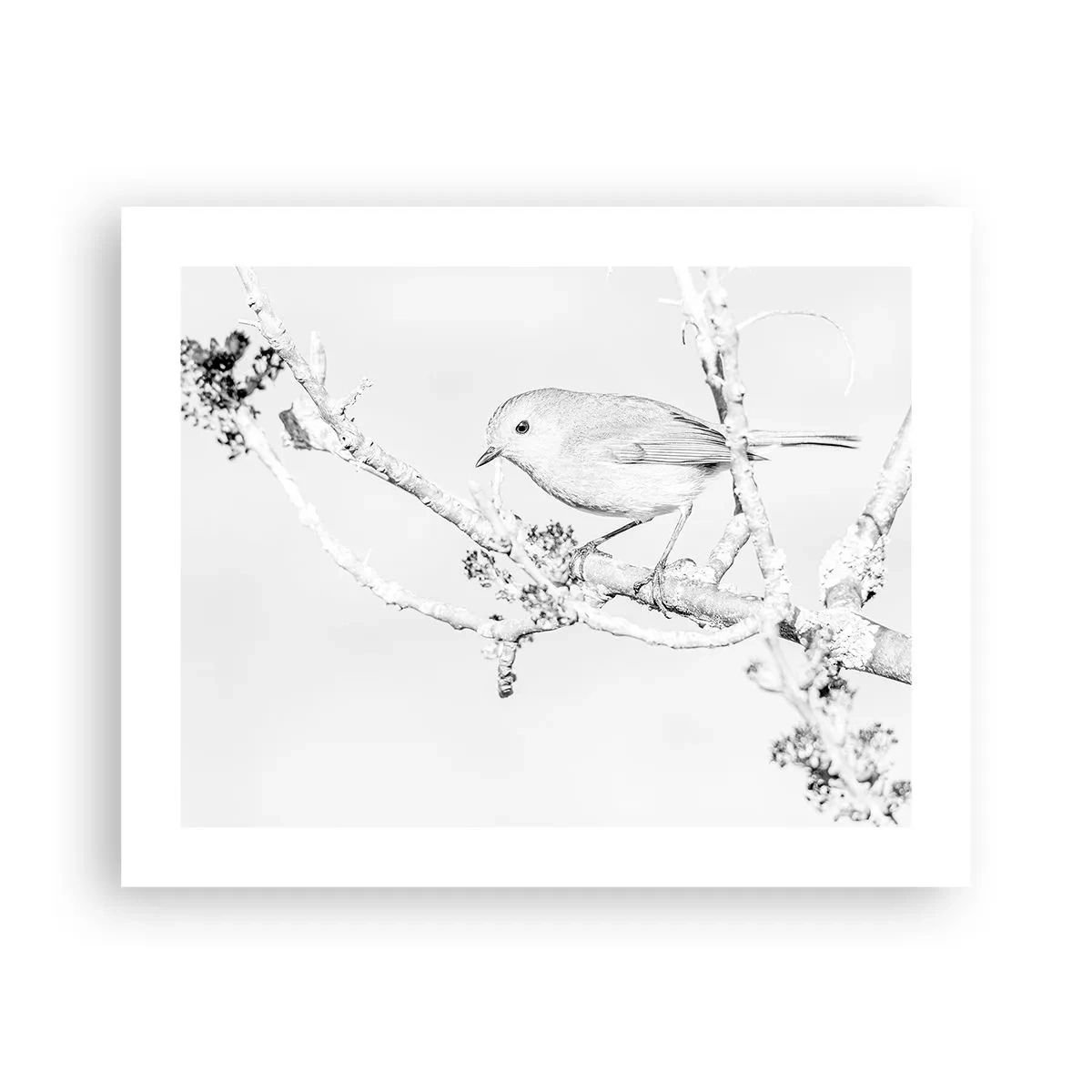 Poster - Winterochtend - 50x40 cm