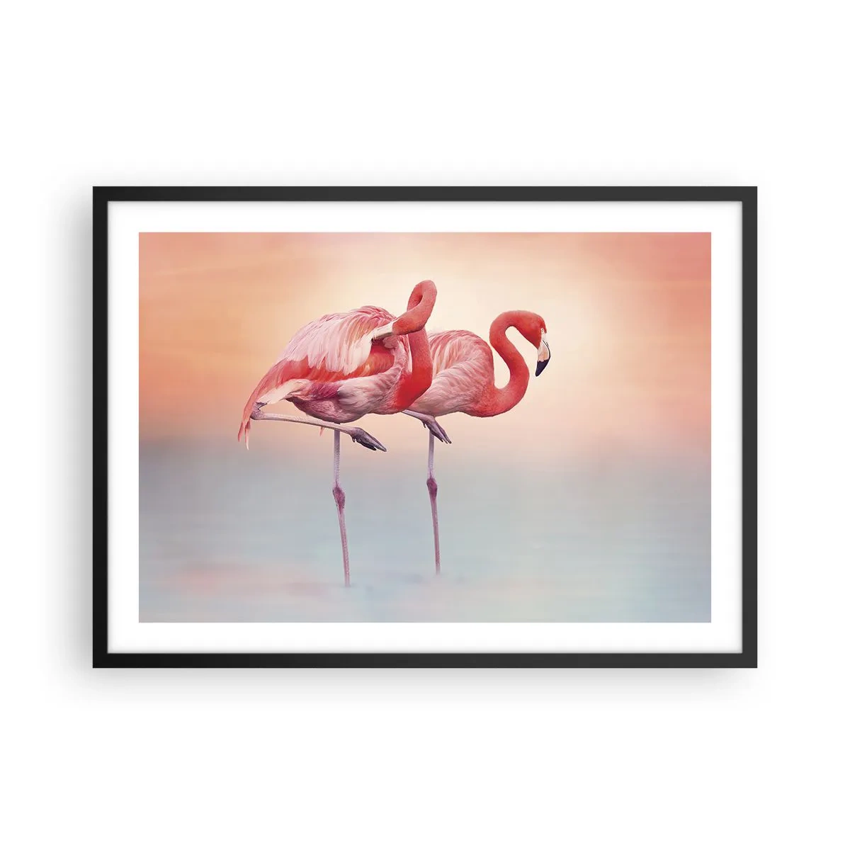 Poster in een zwarte lijst - De kleur van de ondergaande zon - 70x50 cm