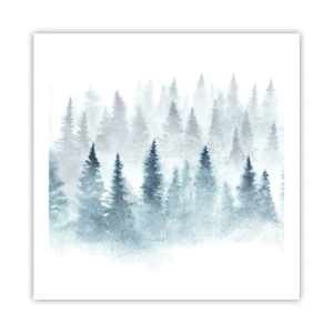 Poster - Gehuld in mist - 60x60 cm