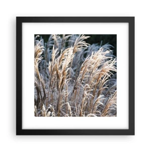 Poster in een zwarte lijst - Gekleed met vorst - 30x30 cm