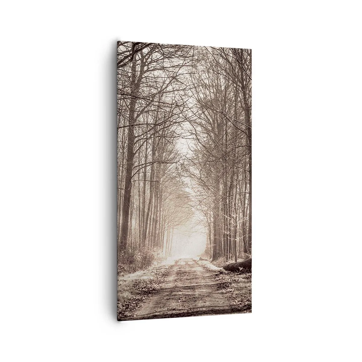 Schilderen op canvas - Boskathedraal - 65x120 cm