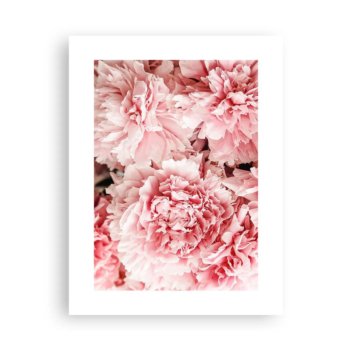 Poster - Roze droom - 30x40 cm