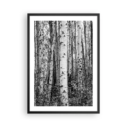 Poster in een zwarte lijst - Zwarte en witte berkenbomen vormen een symmetrisch bos - 50x70cm - Berken colonnade - Moderne wanddecoratie voor woonkamer en slaapkamer ARTTOR