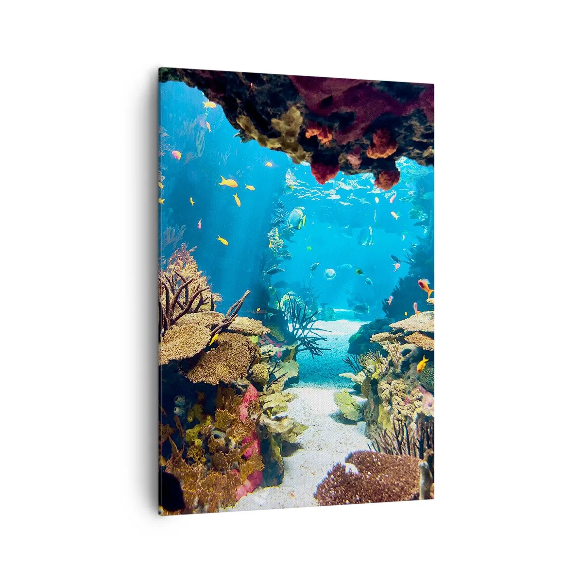 Schilderen op canvas - Je hebt het niet eens gedroomd - 70x100 cm