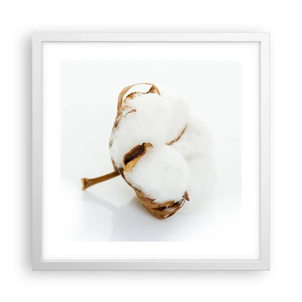 Poster in een witte lijst - Zacht van aard - 40x40 cm