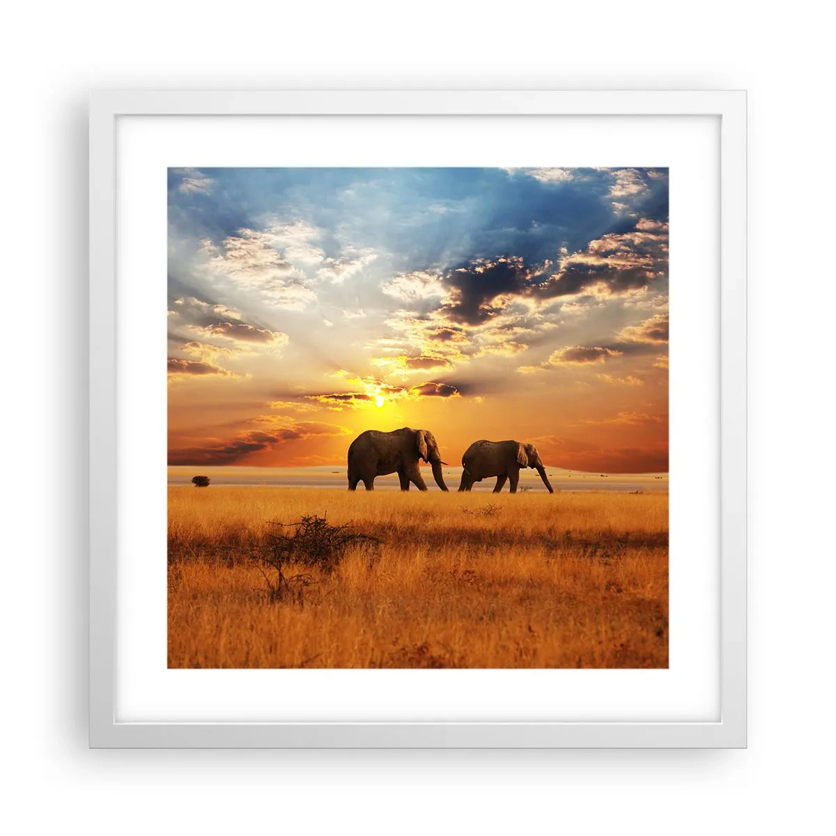 Poster in een witte lijst - Familie wandeling - 40x40 cm