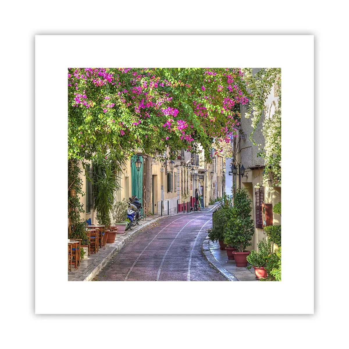 Poster - Bloeiende steeg - 30x30 cm