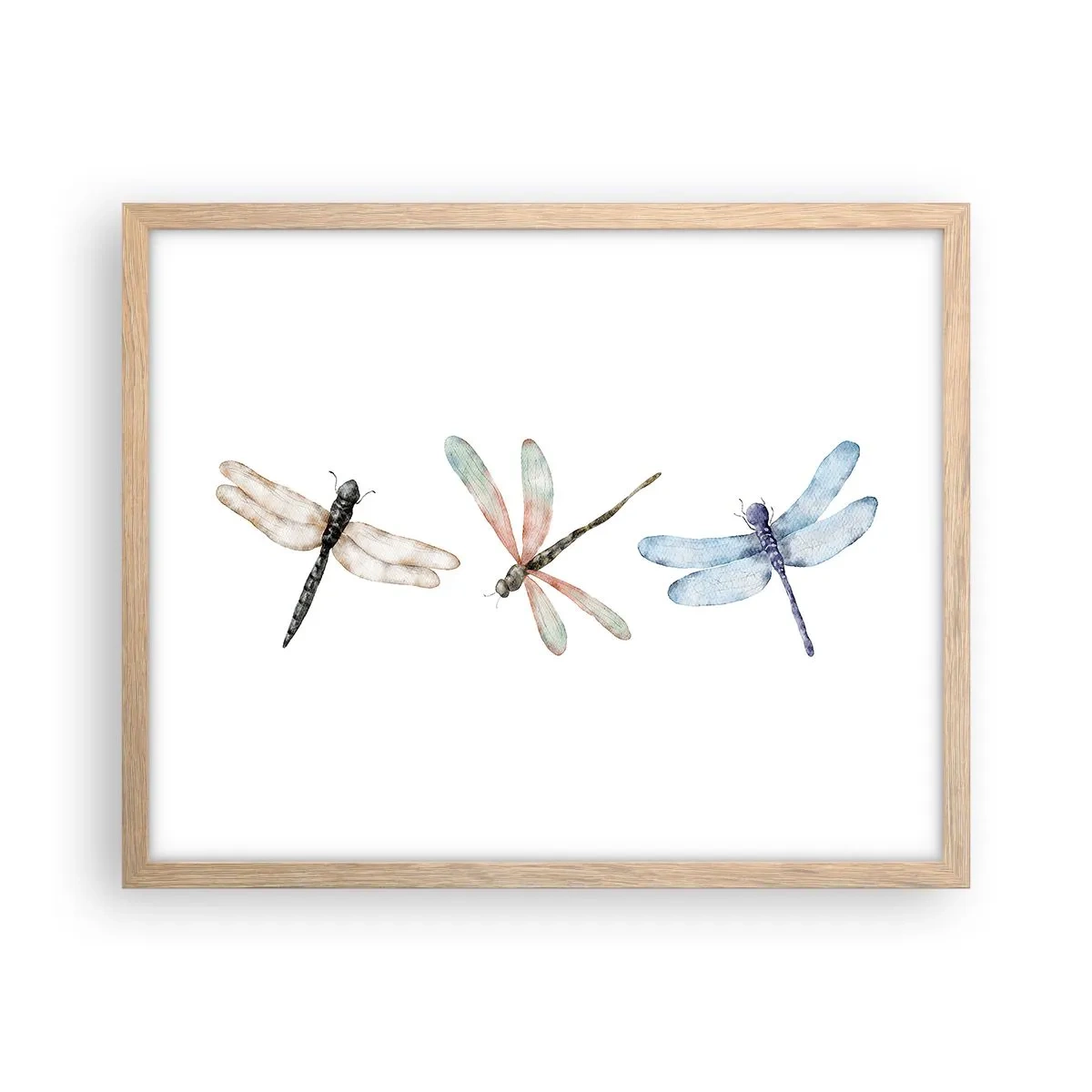 Een poster in een licht eiken lijst - Gewichtloze libellen - 50x40 cm