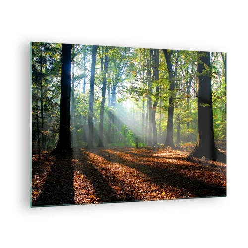 Schilderen op glas - Een bos in de zonnestralen in een herfstlandschap - 70x50cm - Lichten en schaduwen - Moderne wanddecoratie voor woonkamer en slaapkamer ARTTOR