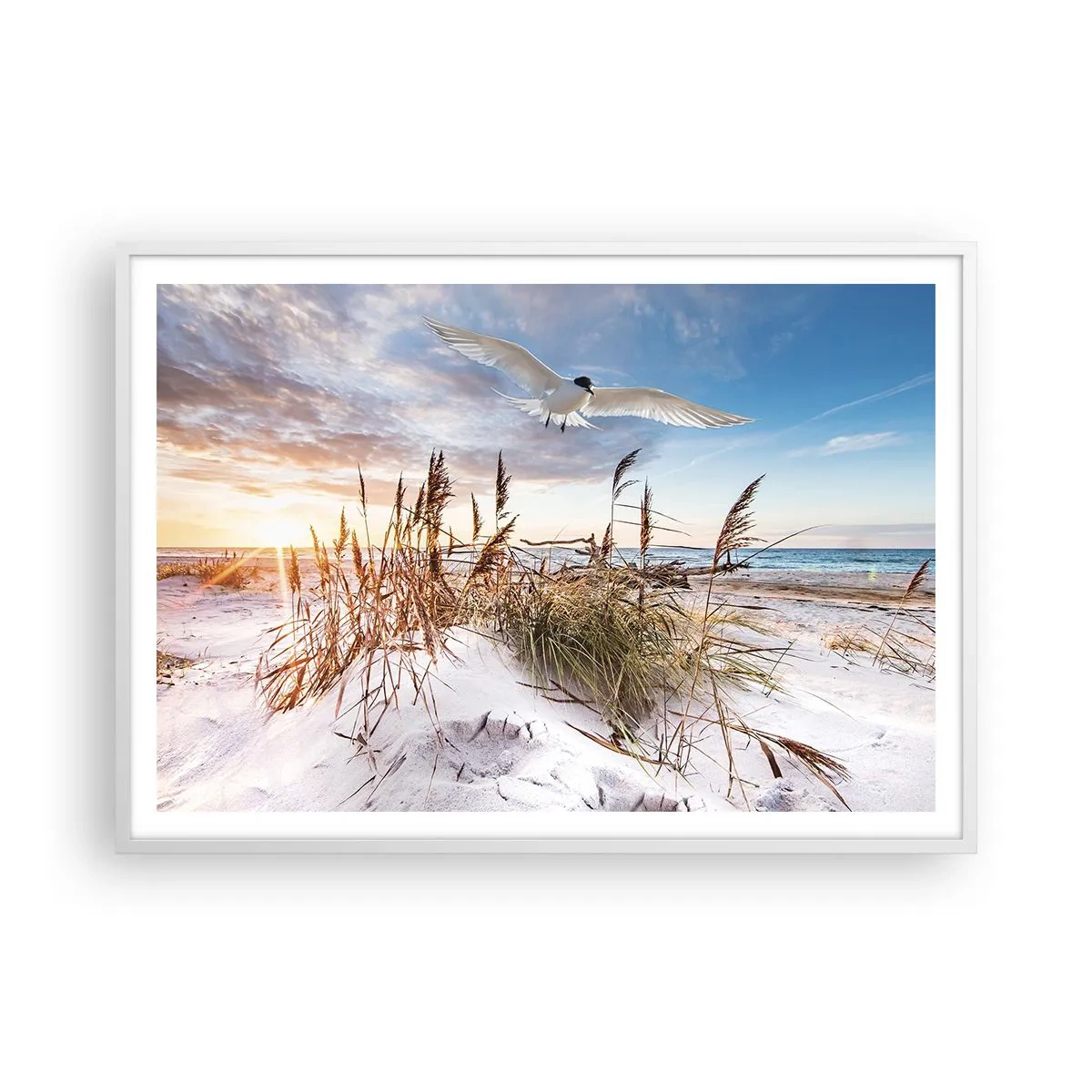 Poster in een witte lijst - Wind uit zee - 100x70 cm