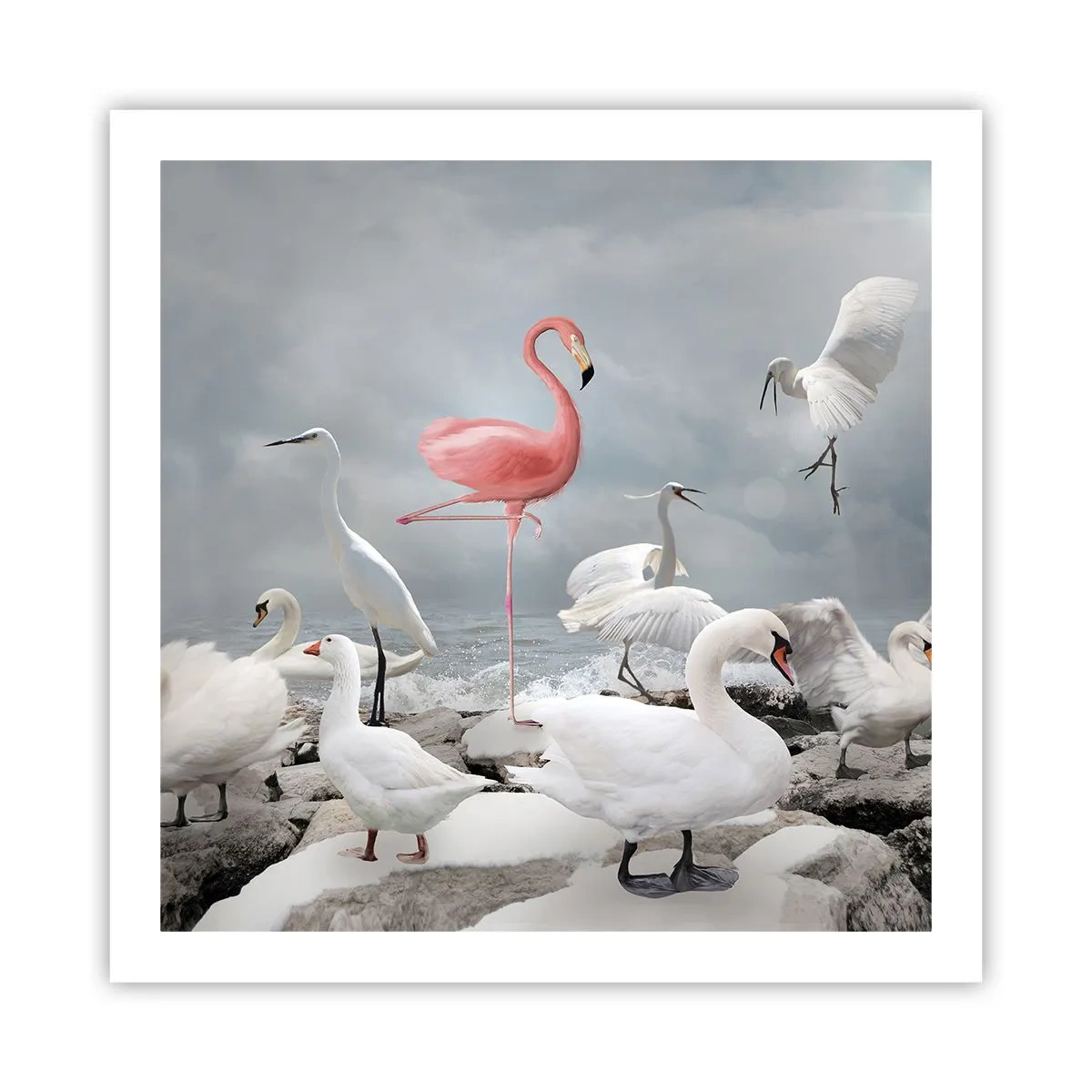 Poster - Hoe ben ik hier terecht gekomen? - 60x60 cm