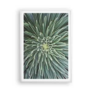 Poster in een witte lijst - Een ster is geboren - 70x100 cm