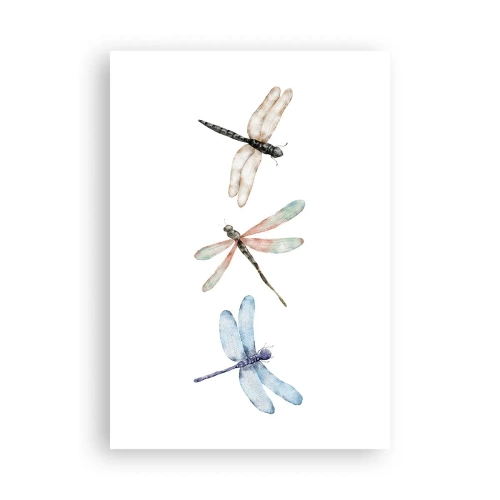 Poster - Gewichtloze libellen - 70x100 cm