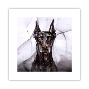 Poster - Hooggeboren - 30x30 cm