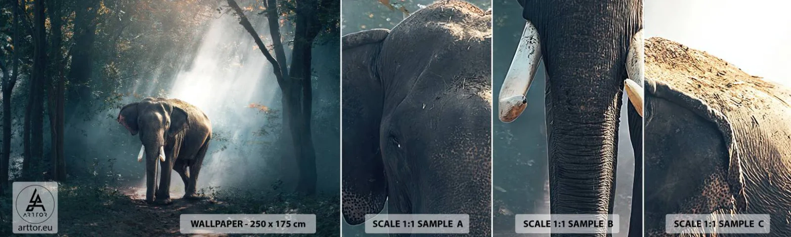 Fotobehang Monster Zelfklevend Deluxe Sticker - Een ontspannen wandeling - Dieren, Olifant, Oerwoud - 100x30 cm