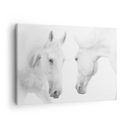 Schilderen op canvas - Een minimalistisch portret van twee witte paarden - 70x50cm - Is dit vriendschap...? - Moderne wanddecoratie voor woonkamer en slaapkamer ARTTOR