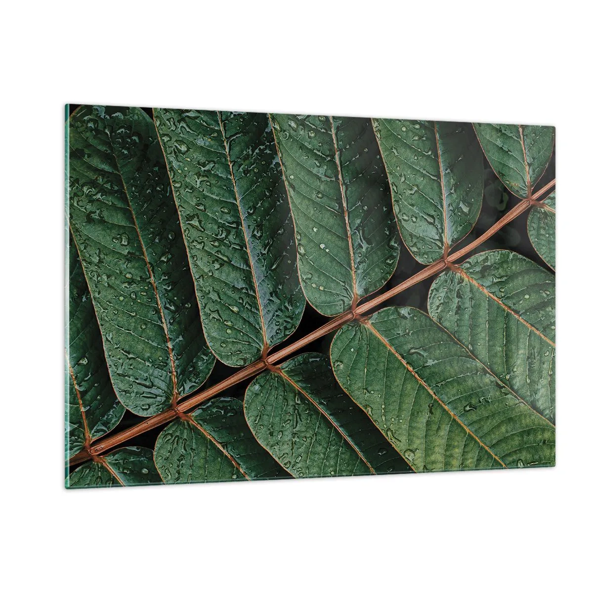 Schilderen op glas - In een groen ritme - 120x80 cm