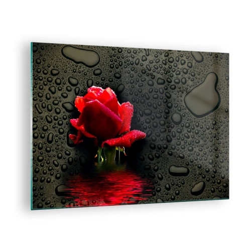 Schilderen op glas - Rode roos met waterdruppels op een donkere achtergrond - 70x50cm - Rood en zwart - Moderne wanddecoratie voor woonkamer en slaapkamer ARTTOR