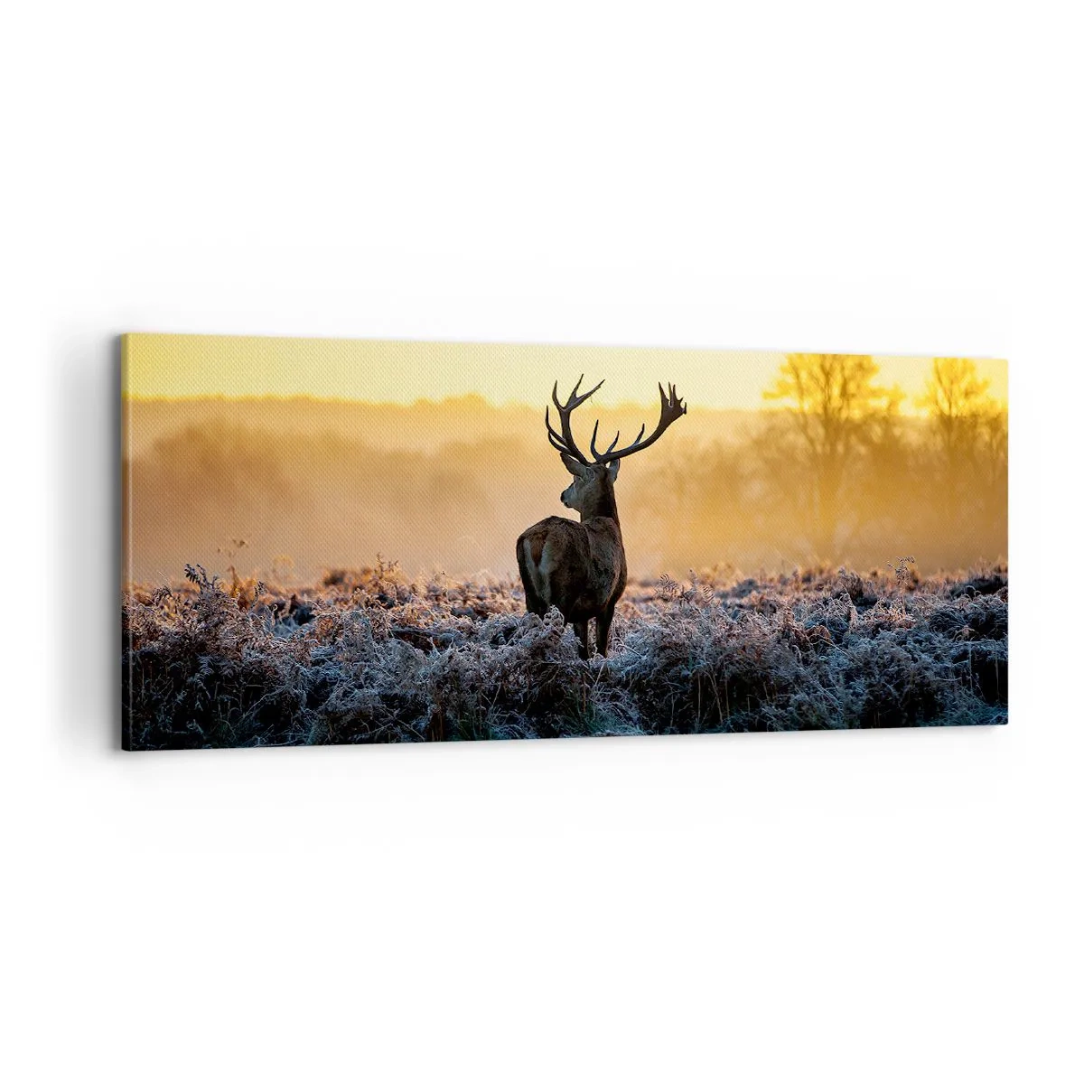 Schilderen op canvas - Gekroond op zijn landgoed - 100x40 cm