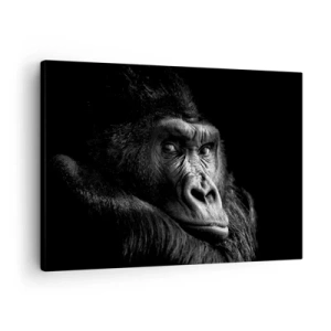 Schilderen op canvas - Zwart-witportret van een majestueuze gorilla - 70x50cm - En waar kijk je naar? - Moderne wanddecoratie voor woonkamer en slaapkamer ARTTOR