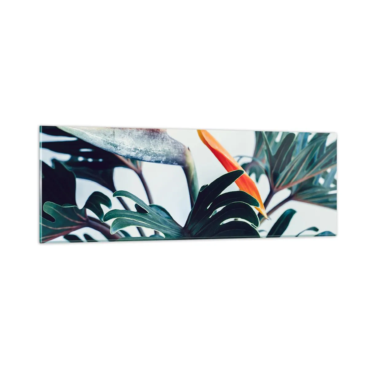 Schilderen op glas - Vogelstruik - 90x30 cm