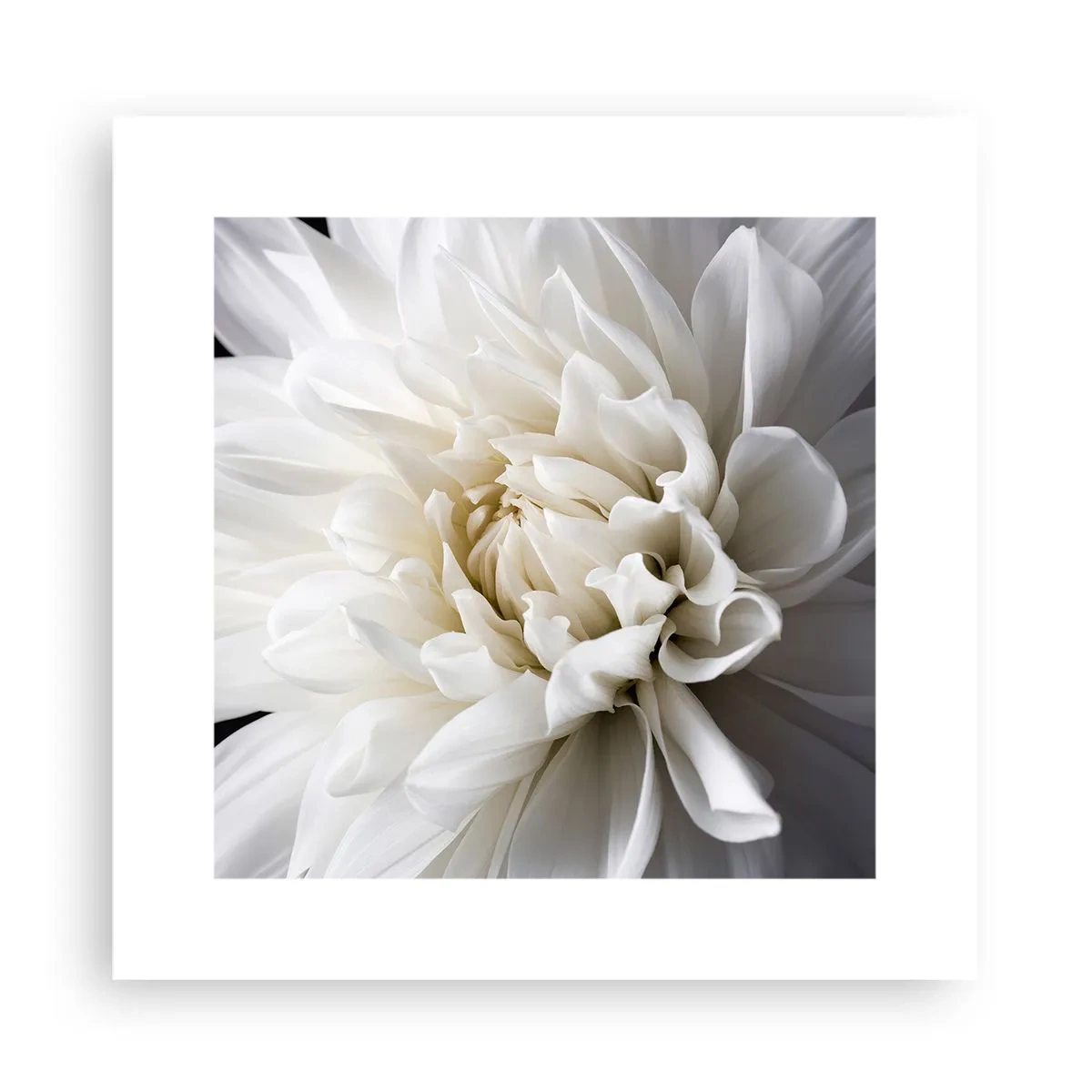 Poster - Ochtend van de bruid - 30x30 cm