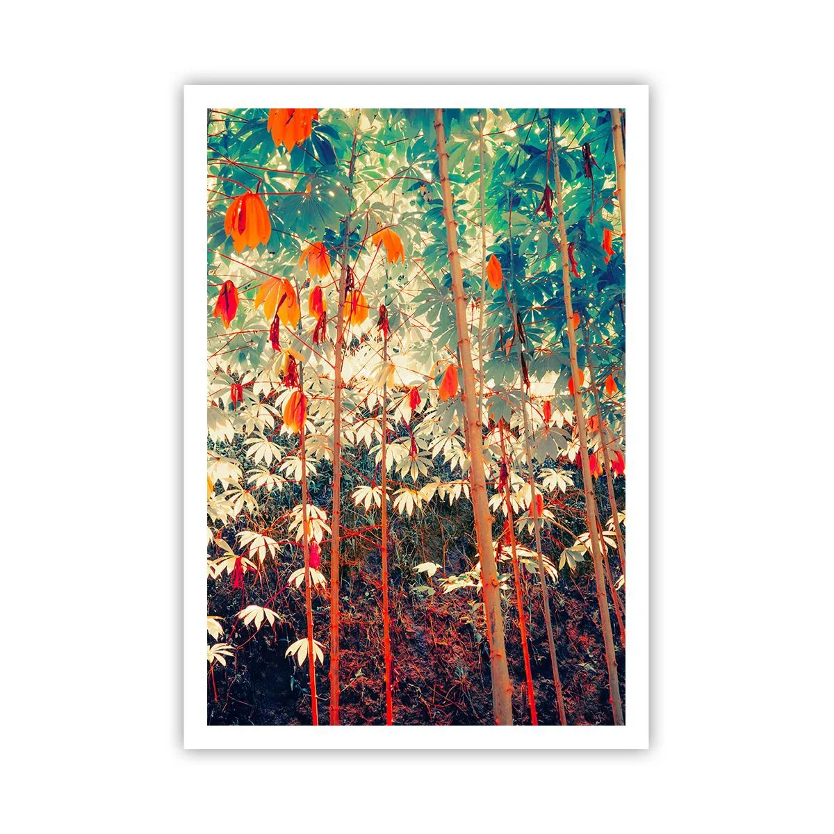 Poster - Het geheime leven van de bladeren - 70x100 cm