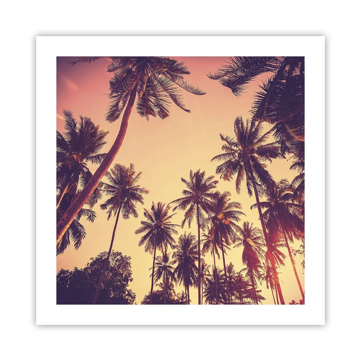 Poster - Een tropische variant - 50x50 cm