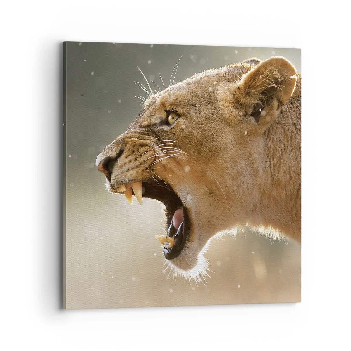 Schilderen op canvas - Probeer niet te luisteren - 70x70 cm