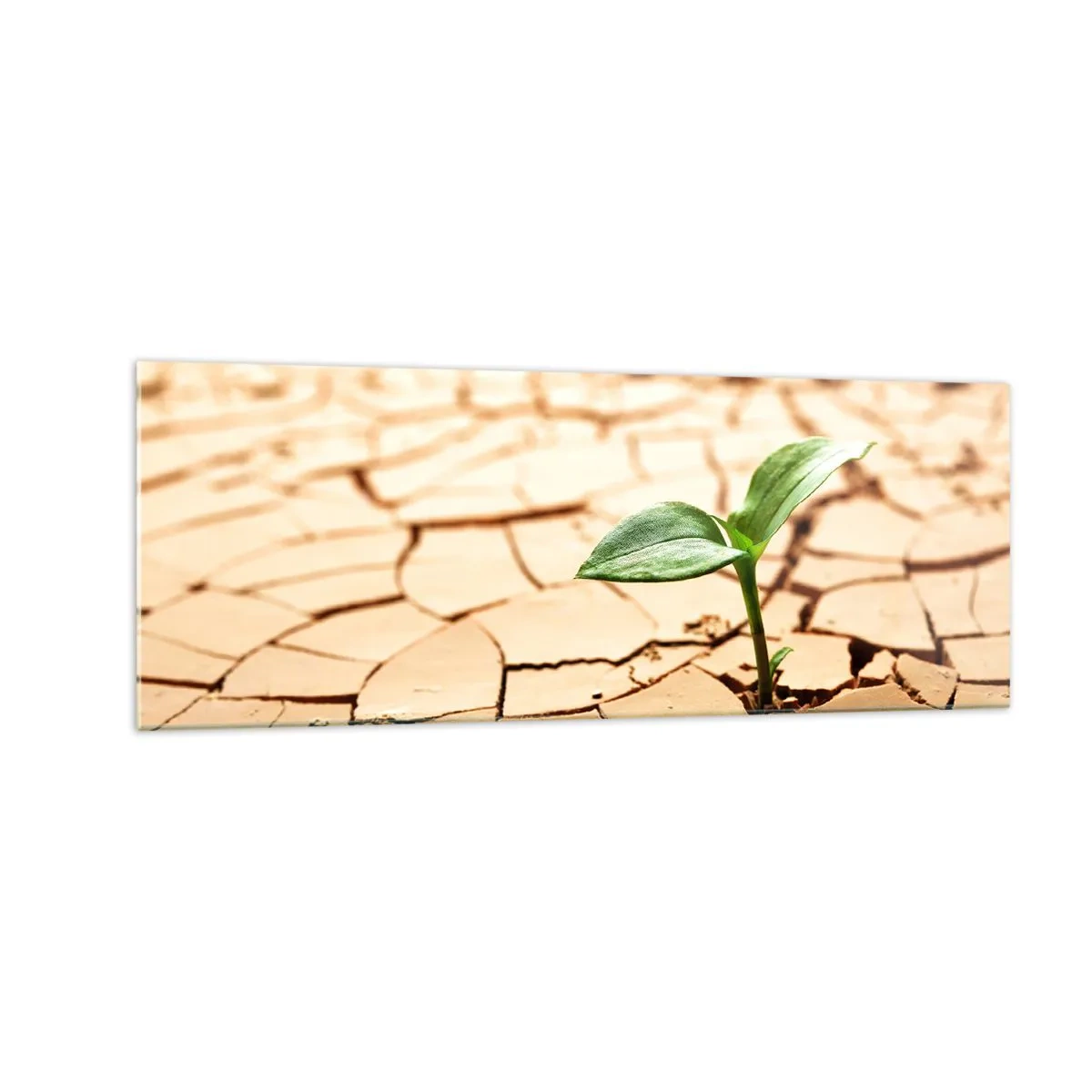 Schilderen op glas - De ontembare kracht van het leven - 140x50 cm