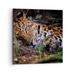 Schilderen op canvas - Geloof me - 70x70 cm