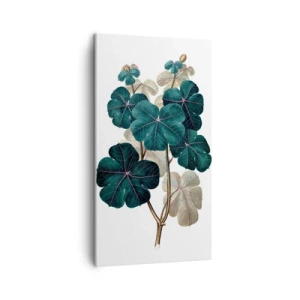 Schilderen op canvas - Uit het oude herbarium - 45x80 cm