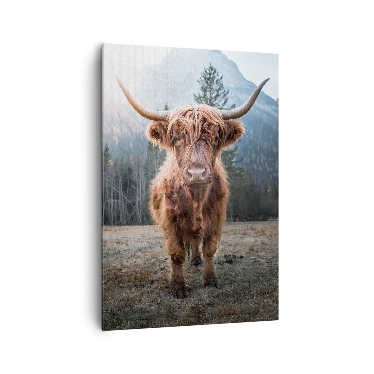 Schilderen op canvas - Groeten uit de bergweide - 70x100 cm