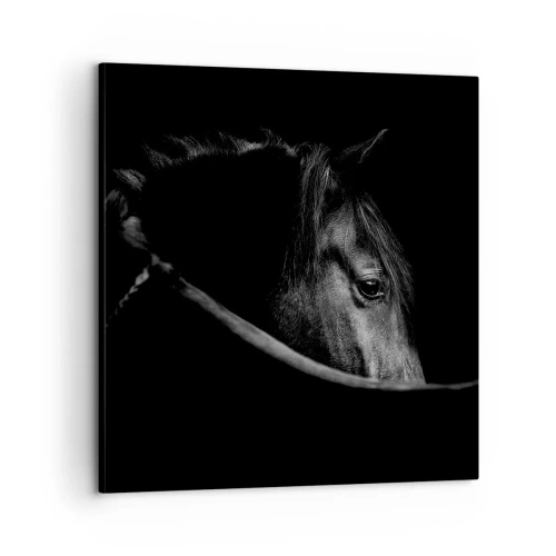 Schilderen op canvas - Zwarte Prins - 60x60 cm