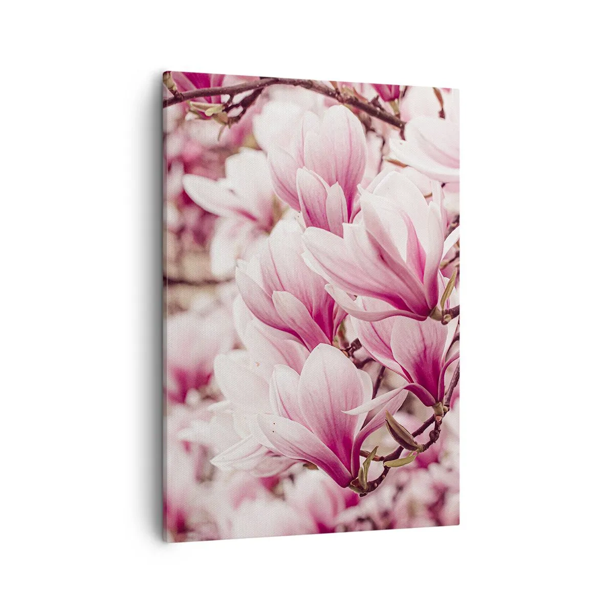 Schilderen op canvas - De lente is roze - 50x70 cm