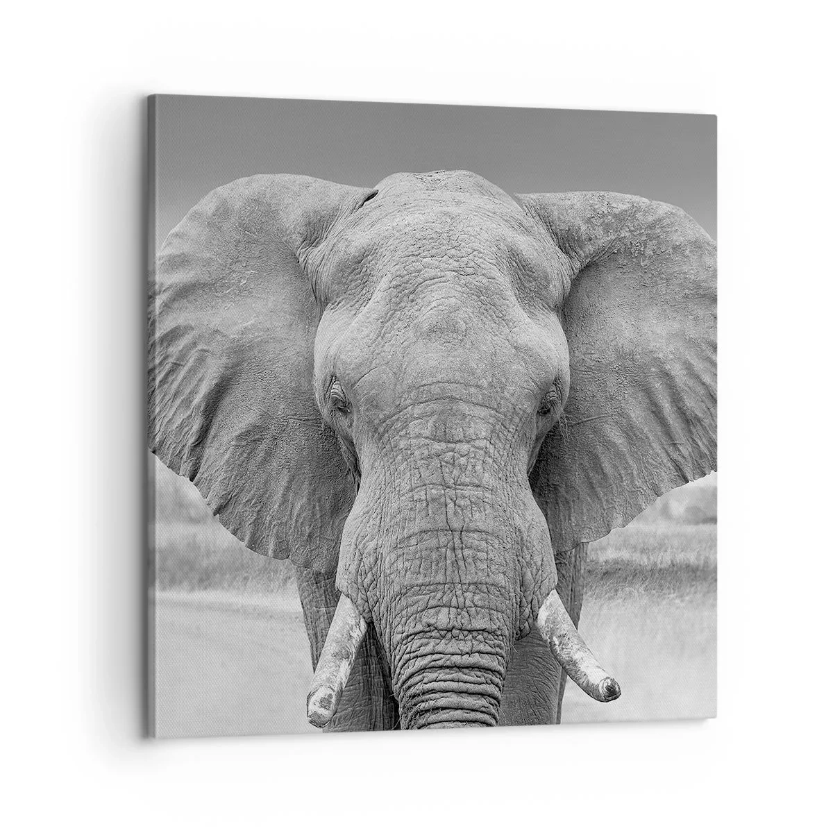 Schilderen op canvas - Welkom in mijn wereld - 60x60 cm