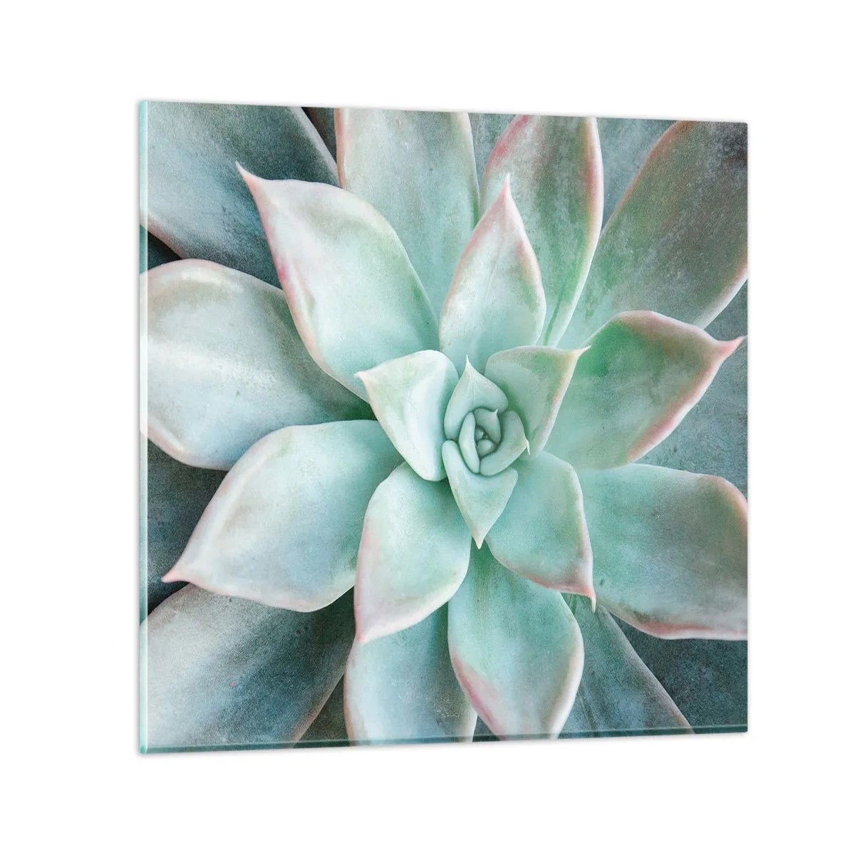 Schilderen op glas - Het hart van de woestijn - 70x70 cm