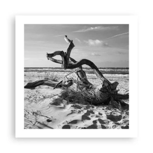 Poster - Zee sculptuur - 50x50 cm